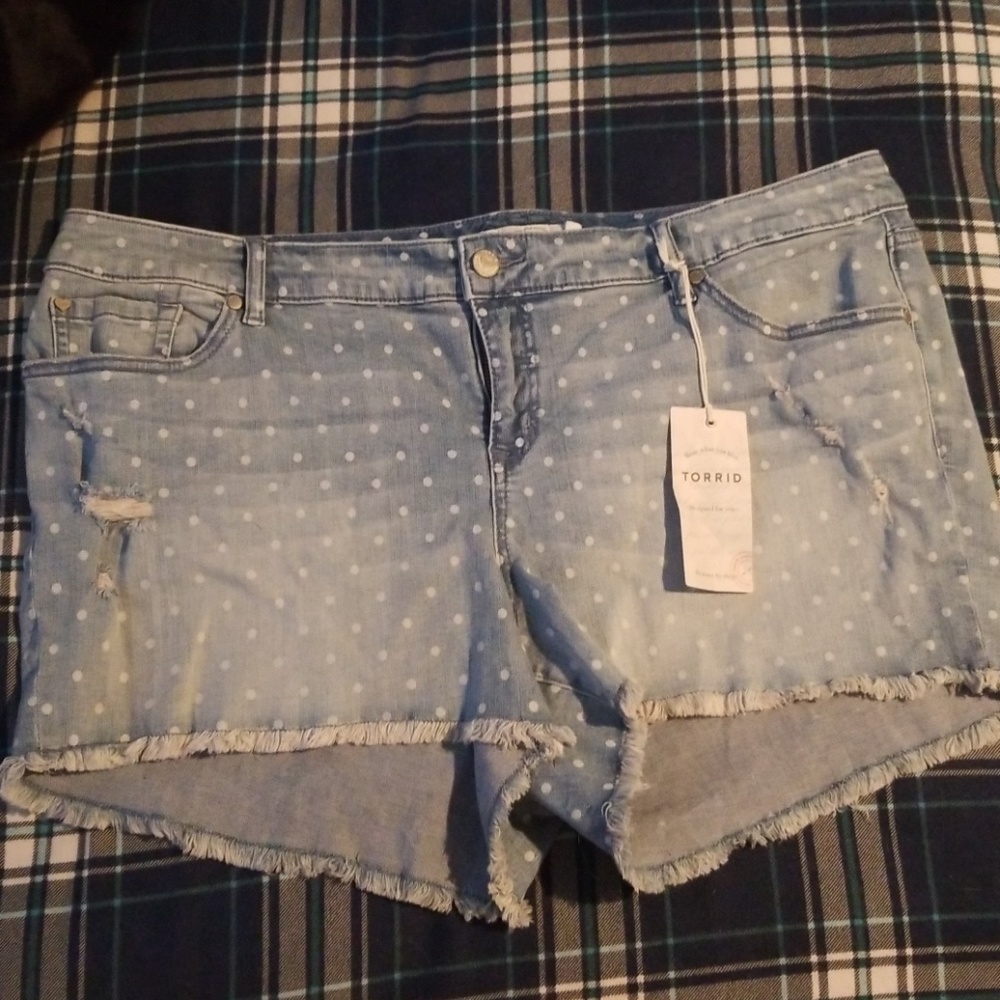Torrid Shorts